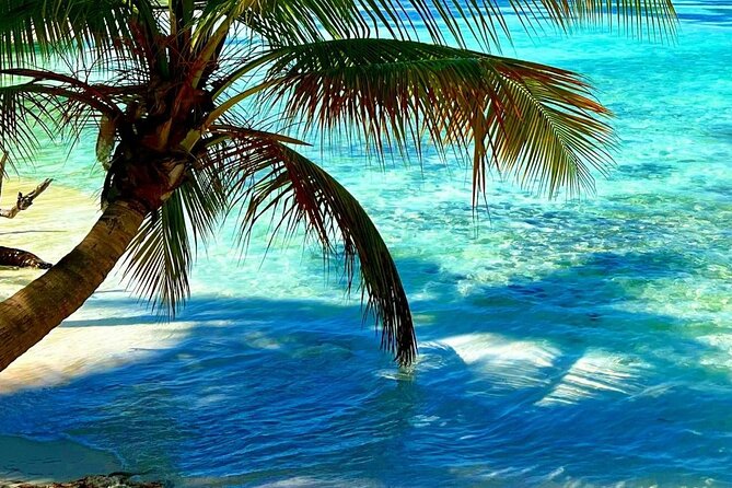 Punta Cana Catalina Island Catamaran Tour Package Deal - Four hours on Catalina Beach