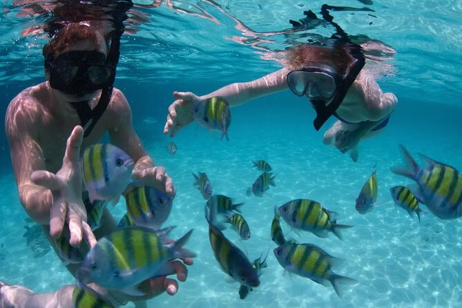 Punta Cana Catalina Island Catamaran Tour Package Deal - Who will enjoy this Catalina day most