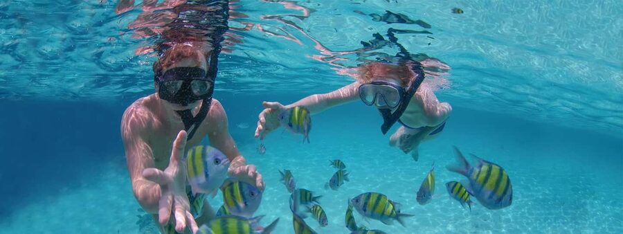 Punta Cana: Catamaran Family Tour - Who will enjoy this catamaran most