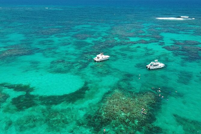 Punta Cana: Catamaran Tour, Reef Snorkeling and Unlimited Drinks! - Key points at a glance