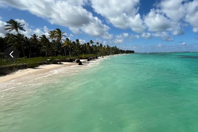 Punta Cana: Catamaran Tour, Reef Snorkeling and Unlimited Drinks! - Reef snorkeling in clear water, with weather as the wildcard