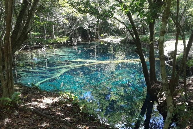 Punta Cana Cenote Hoyo Claro Hiking Tour + Juanillo Beach - Timing, equipment, and the small details that make the day easier