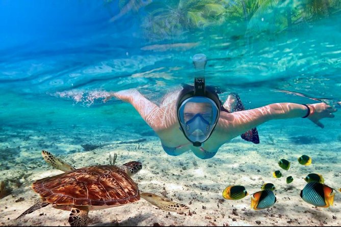 Punta Cana Combo Tour: Snorkeling, Catamaran Cruise & Parasailing - Friendly crew, variable coordination