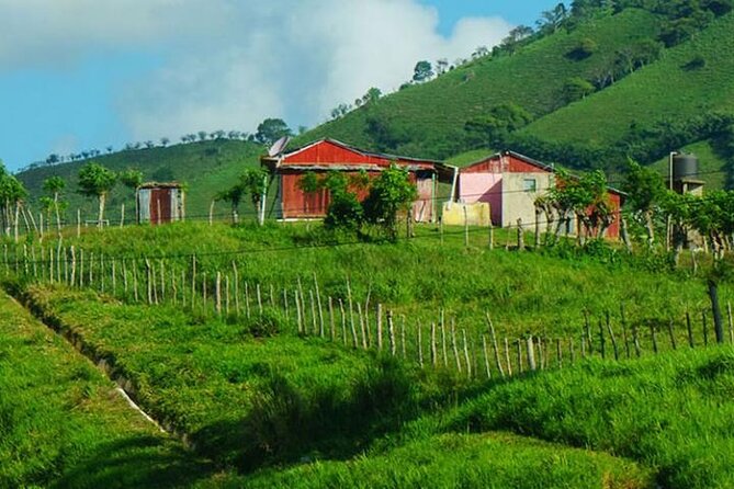 Punta Cana: Cultural half-day tours in the Dominican Republic - A broad look at the Dominican Republic for $85