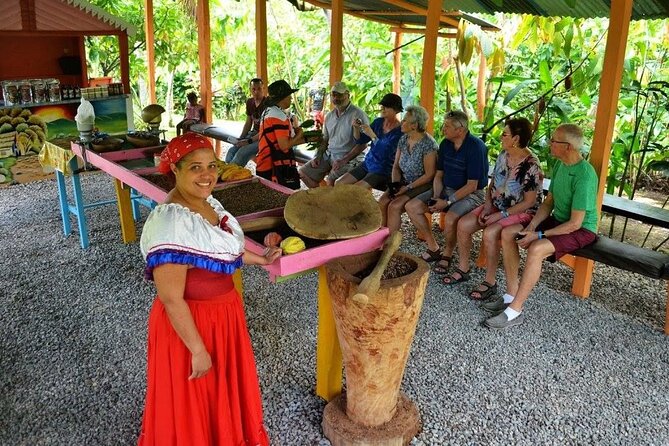 Punta Cana: Cultural half-day tours in the Dominican Republic - Anamuya River, natural slide, and lunch
