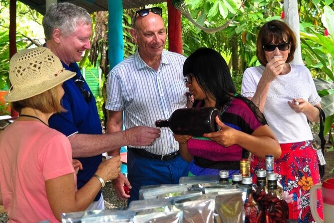 Punta Cana: Cultural half-day tours in the Dominican Republic - What the schedule feels like in practice
