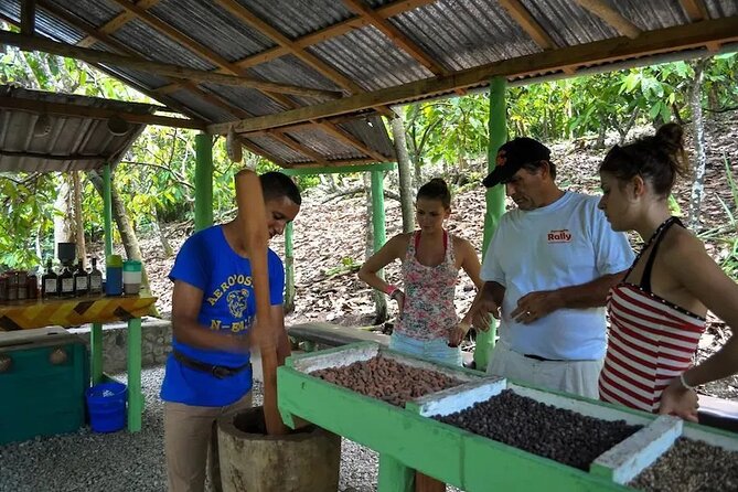 Punta Cana: Cultural half-day tours in the Dominican Republic - Horseback riding in Higüey