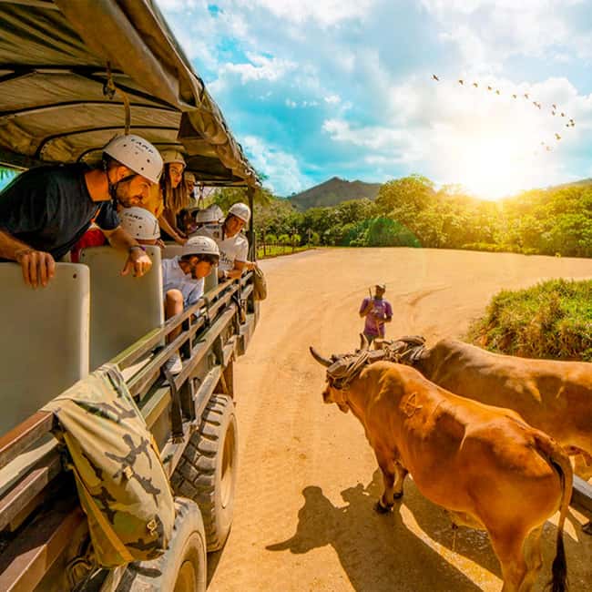 Punta Cana Cultural Tour History and Traditions Small Group - What this Punta Cana cultural tour is really like