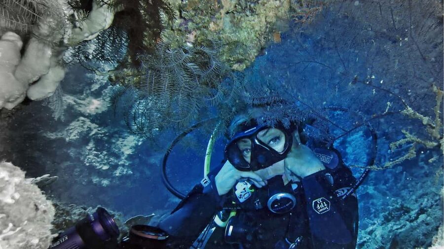 Punta Cana: Dive the Coral Paradise of Catalina Island - What to bring and what to know before booking