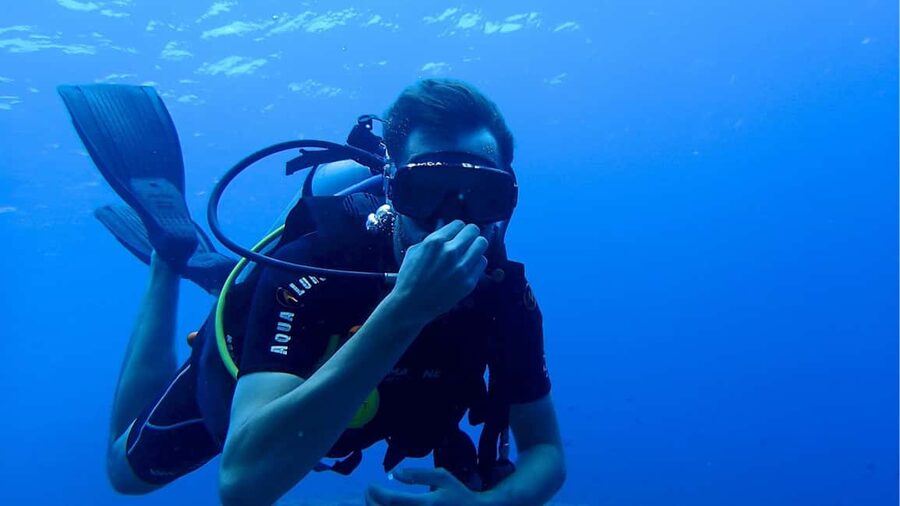 Punta Cana: Dive the Coral Paradise of Catalina Island - The trip from Punta Cana takes most of the day