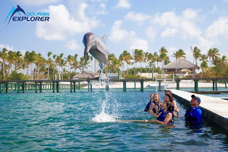 Punta Cana Dolphin Adventure: 40-Minute Interaction - Key points to know before you book