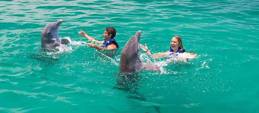 Punta Cana Dolphin Adventure: 40-Minute Interaction - How to prepare for a smoother visit