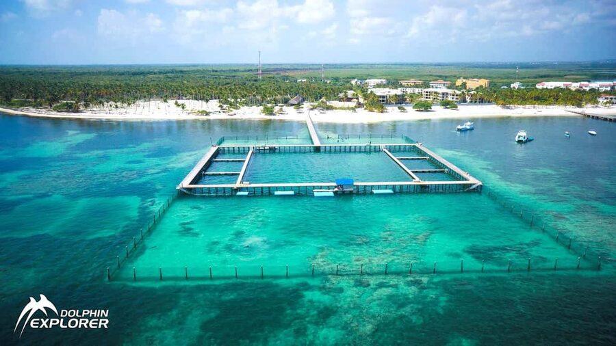 Punta Cana Dolphin Adventure: 40-Minute Interaction - Why the trainer briefing matters
