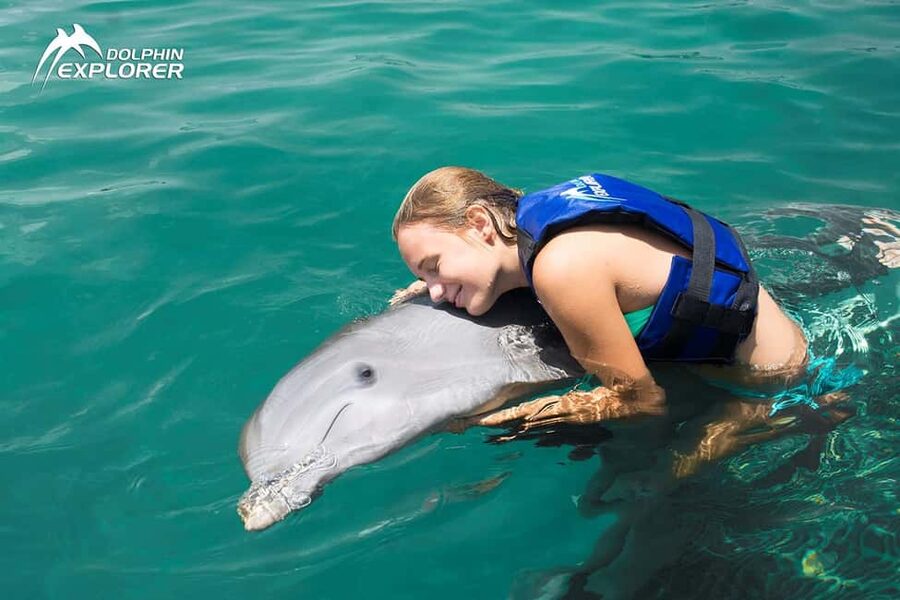 Punta Cana Dolphin Adventure: 40-Minute Interaction - A practical choice for families with small children