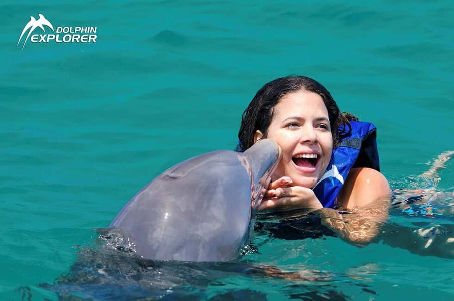 Punta Cana Dolphin Adventure: 40-Minute Interaction - Who will enjoy this most