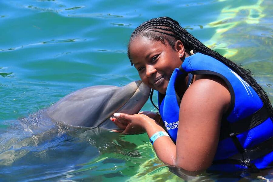 Punta Cana Dolphin Adventure: 40-Minute Interaction - Meeting one dolphin in a group of up to 20