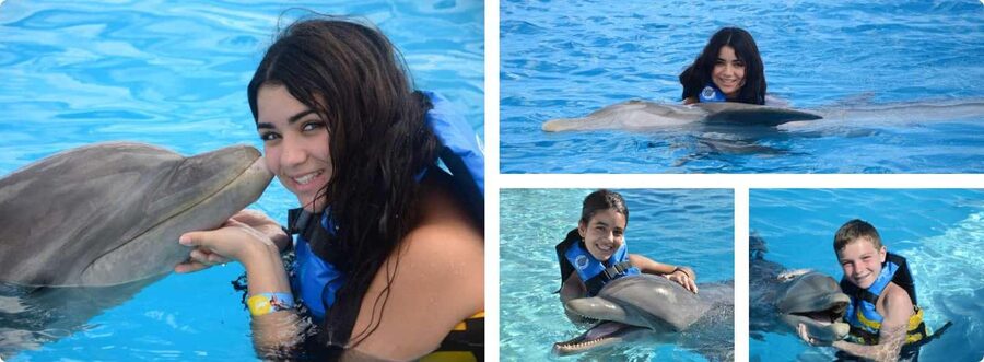 Punta Cana: Dolphin Explorer Park Entry, Swim, or Encounter - Key points to know before booking