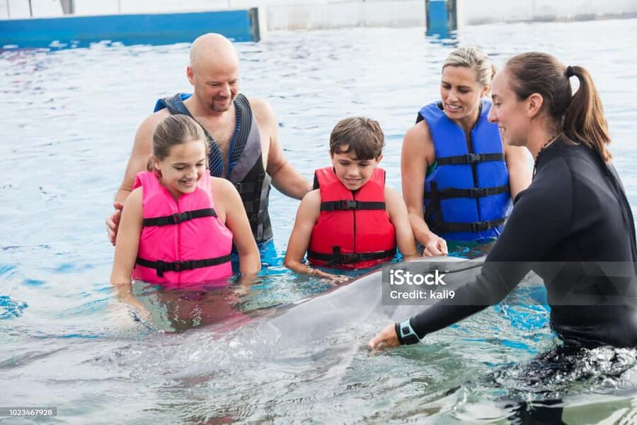 Punta Cana: Dolphin Explorer Park Entry, Swim, or Encounter - How the visit works as a half-day outing