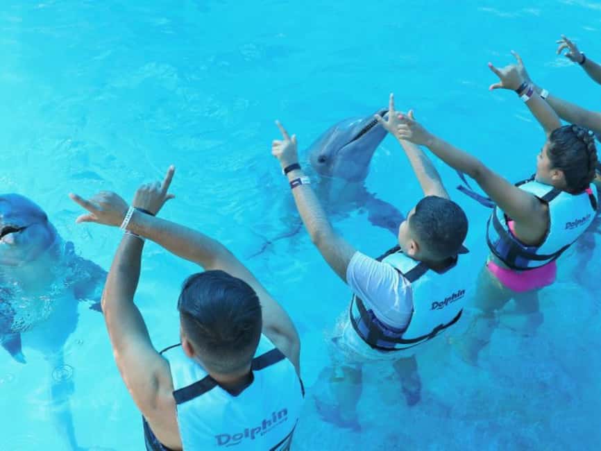 Punta Cana: Dolphin Explorer Park Entry, Swim, or Encounter - Choosing between an encounter and a swim