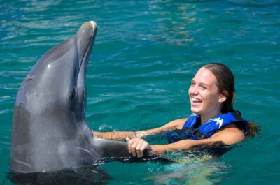 Dolphin Explorer Swims and Interactions