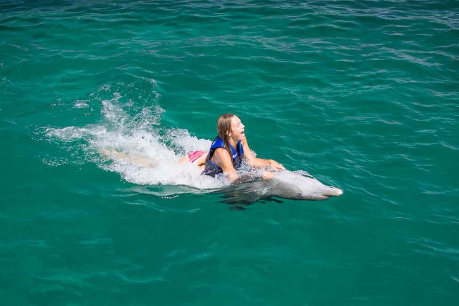 Punta Cana: Dolphin Explorer Swims and Interactions - Hotel pickup, lockers, and the practical flow