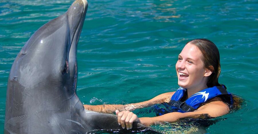 Punta Cana: Dolphin Explorer Swims and Interactions - The no-phone rule and the true cost of photos