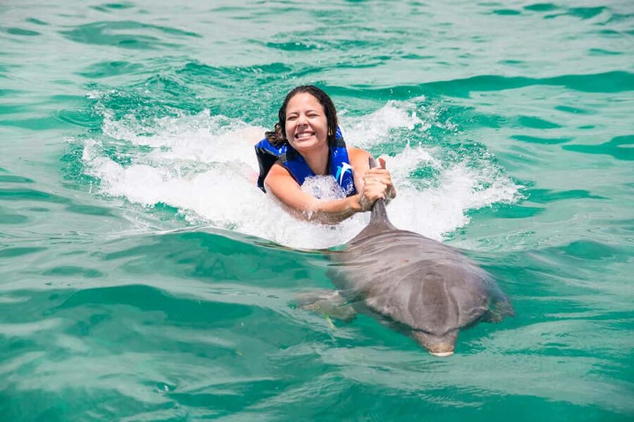 Punta Cana: Dolphin Explorer Swims and Interactions - More than dolphins, if the extra encounters are offered