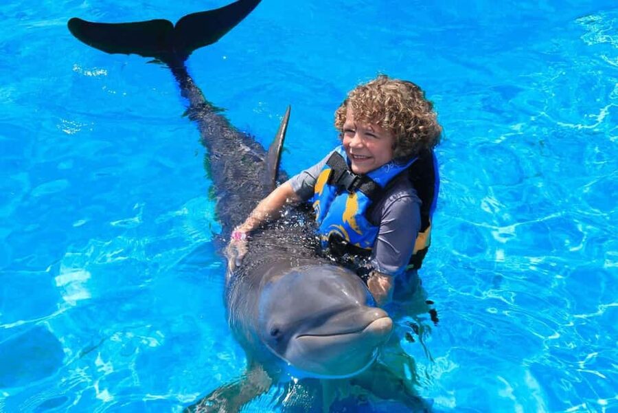 Punta Cana: Dolphin Interaction Experience & Hotel Transfers - Key points to know before booking