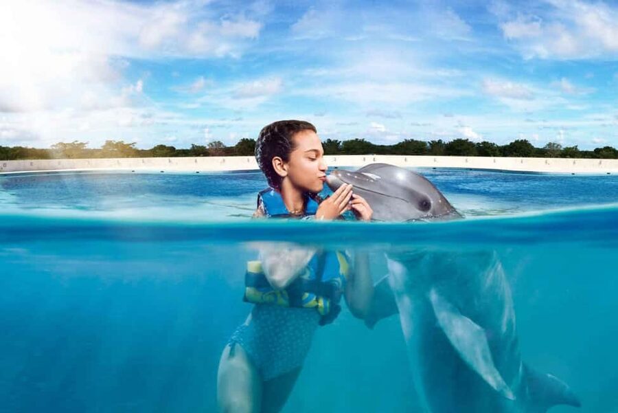 Punta Cana: Dolphin Interaction Experience & Hotel Transfers - Meeting dolphins in a controlled Punta Cana setting