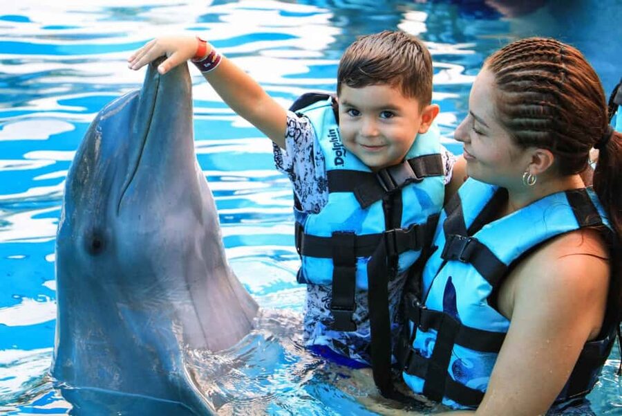 Punta Cana: Dolphin Interaction Experience & Hotel Transfers - Choosing among the three dolphin programs