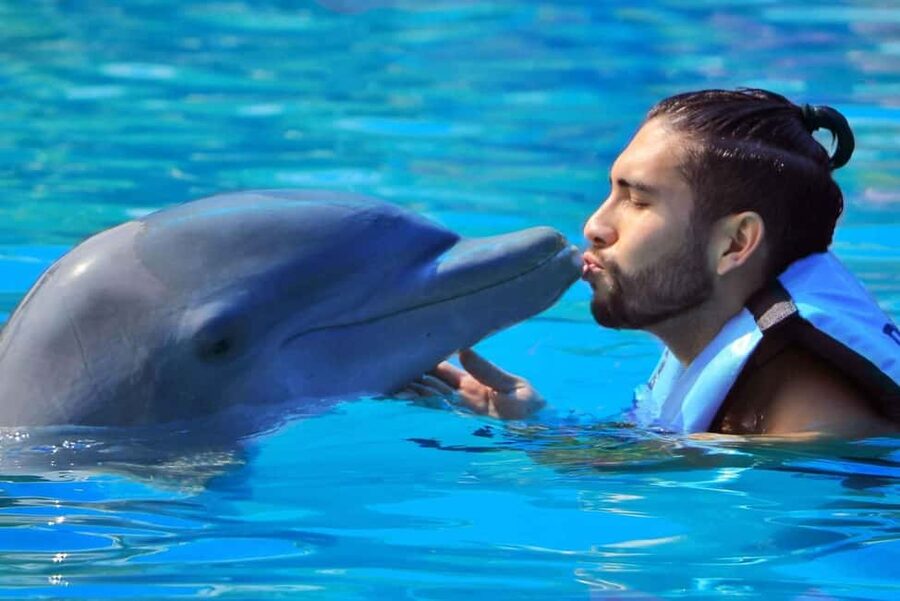 Punta Cana: Dolphin Interaction Experience & Hotel Transfers - The photo policy can change the final price