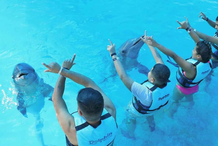Punta Cana: Dolphin Interaction Experience & Hotel Transfers - Family rules and water requirements