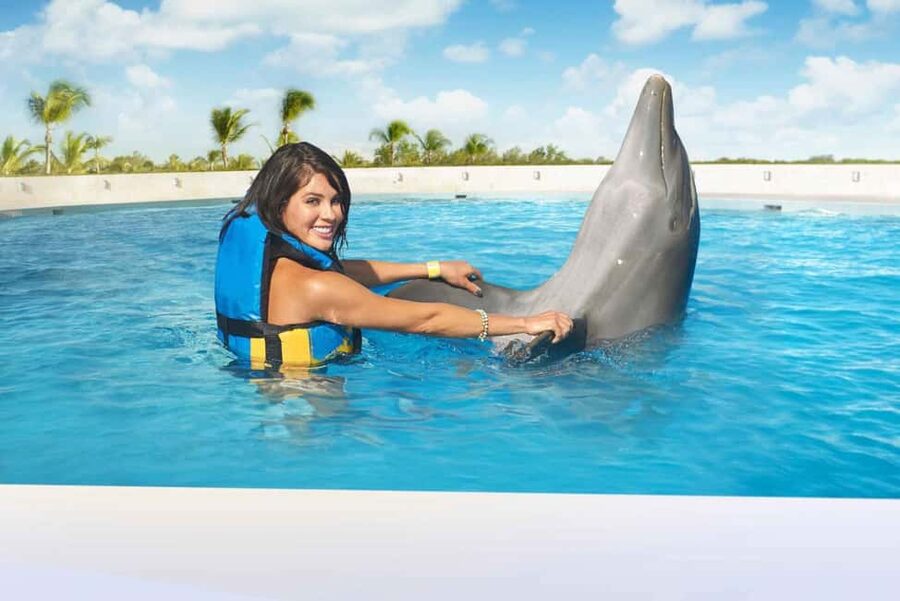 Punta Cana: Dolphin Interaction Experience & Hotel Transfers - Hotel pickup makes the half-day easier