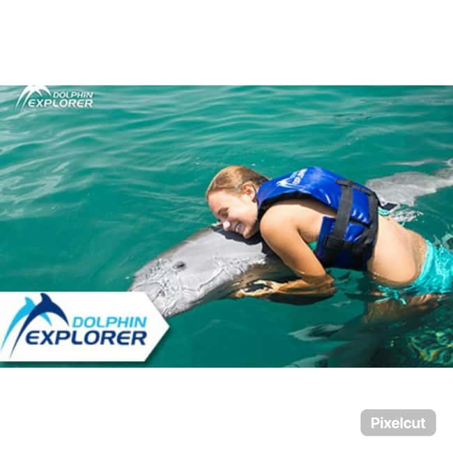 Punta Cana: Dolphin Park Entry and Swim with Dolphins - Why the pickup details matter so much