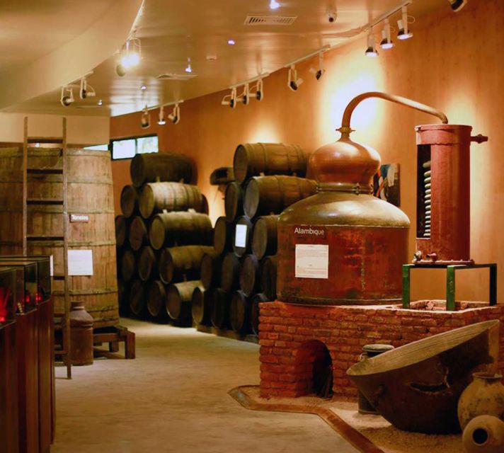 Punta Cana: Dominican Flavors Guided Day Trip - Should you book the Dominican Flavors tour?