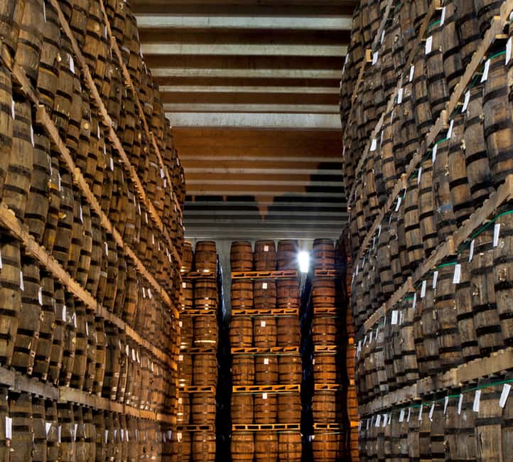 Punta Cana: Dominican Flavors Guided Day Trip - Vega Fina: from tobacco leaf to handmade cigar