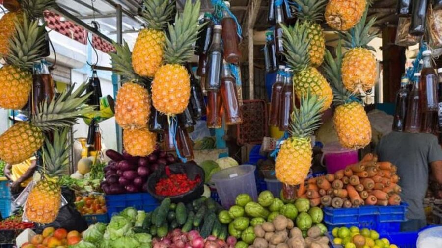 Punta Cana: Dominican Republic Culture Tour - Key points to know before booking
