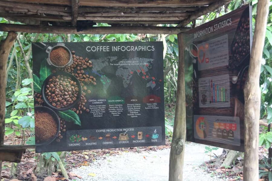 Punta Cana E-bike tour: Macao, El Salado, Ceiba, El Caño - Key points at a glance