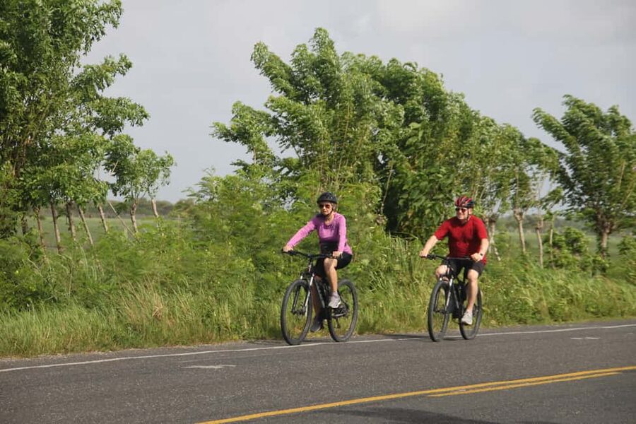 Punta Cana E-bike tour: Macao, El Salado, Ceiba, El Caño - From hotel lobby to Macao