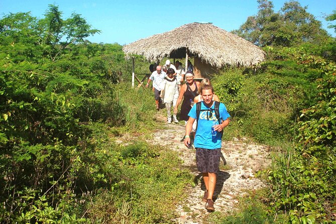 Punta Cana: Eco Jungle Tour - Walking the Padre Nuestro jungle trail
