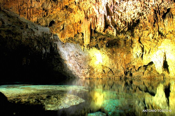 Punta Cana: Eco Jungle Tour - Returning to Bayahibe and stopping at a colmado
