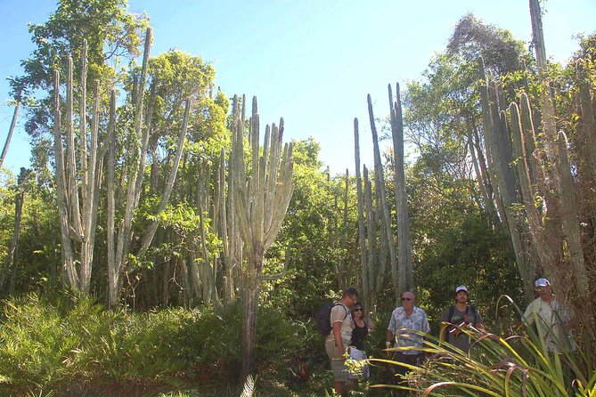 Punta Cana: Eco Jungle Tour - Swimming in Cueva de Chicho