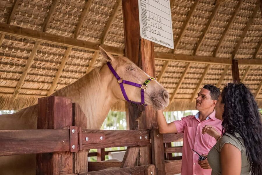 Punta Cana: Eco Park Safari Adventure - A farm visit with a few surprises
