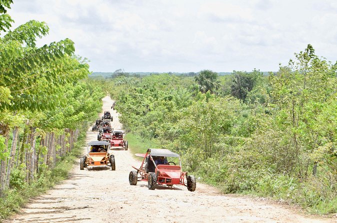 Punta Cana: Ecological Adventure in Buggies from Santo Domingo - Who should book this Punta Cana buggy tour?