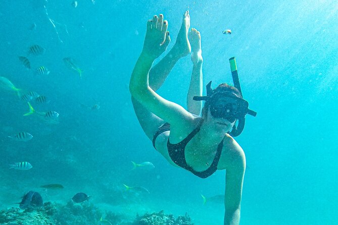 Punta Cana Exclusive Adults-Only Snorkel with Food and Drinks - Snorkeling at the coral nursery