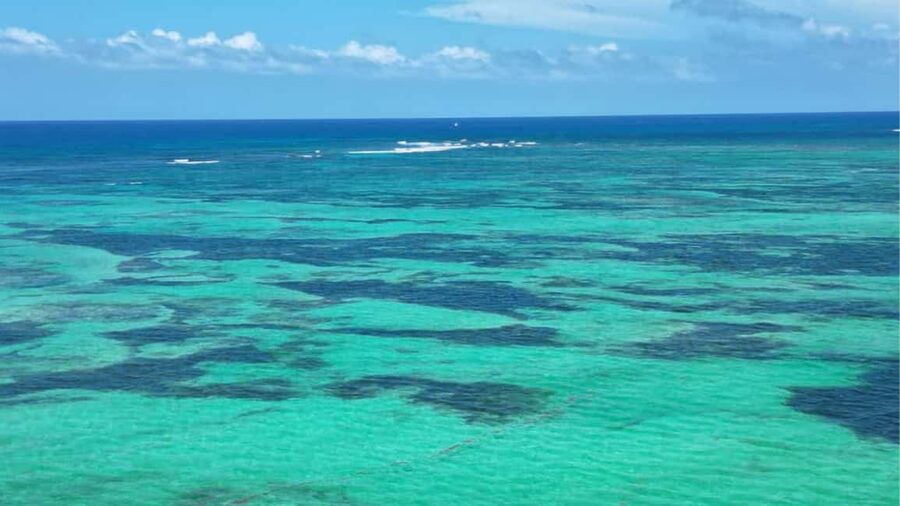 Punta Cana: Exclusive Private Catamaran Tour to Saona Island – VIP Service - What $1,590 means for your group