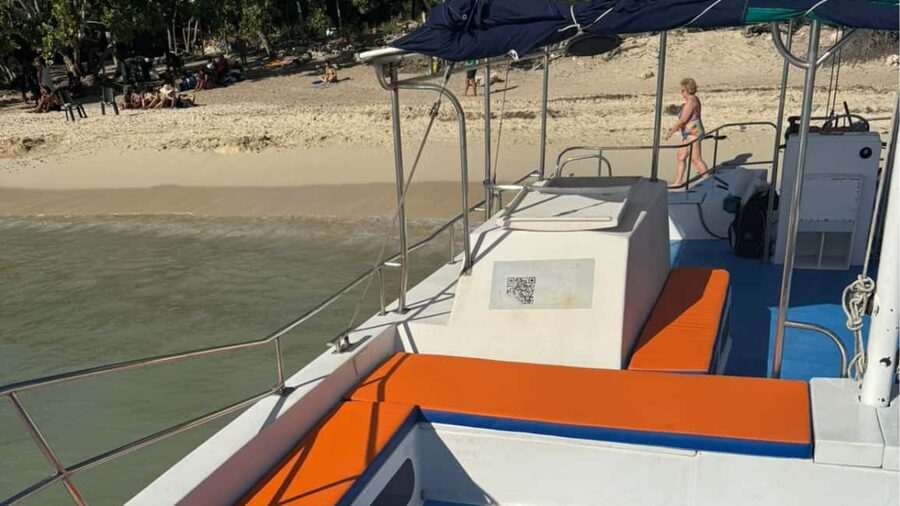 Punta Cana: Exclusive Private Catamaran Tour to Saona Island – VIP Service - Should you book this Saona Island catamaran tour?