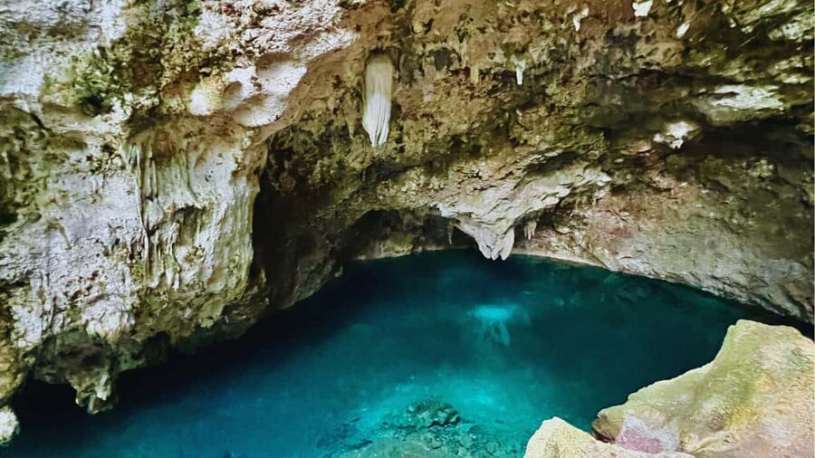 Punta Cana: Experience the essence of Santo Domingo with lunch and the Colonial Zone - Guide quality and language