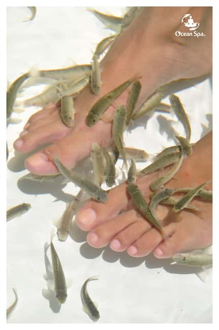 Punta Cana Floating Ocean Spa Experience with Massage & Yoga - Bio-Pilates, Breathing, and Light Movement