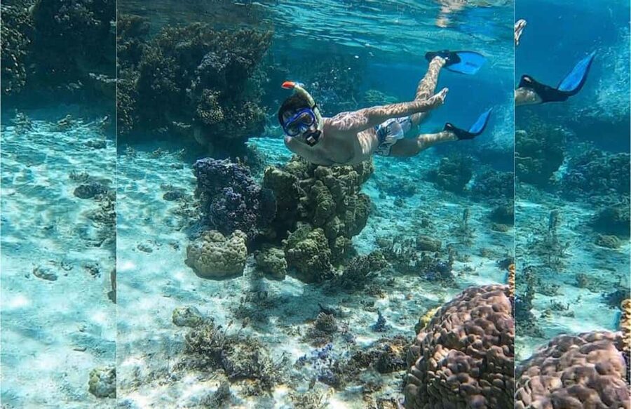 Punta Cana: Full-day Snorkelling Tour in Catalina Island - Key points to know before you book